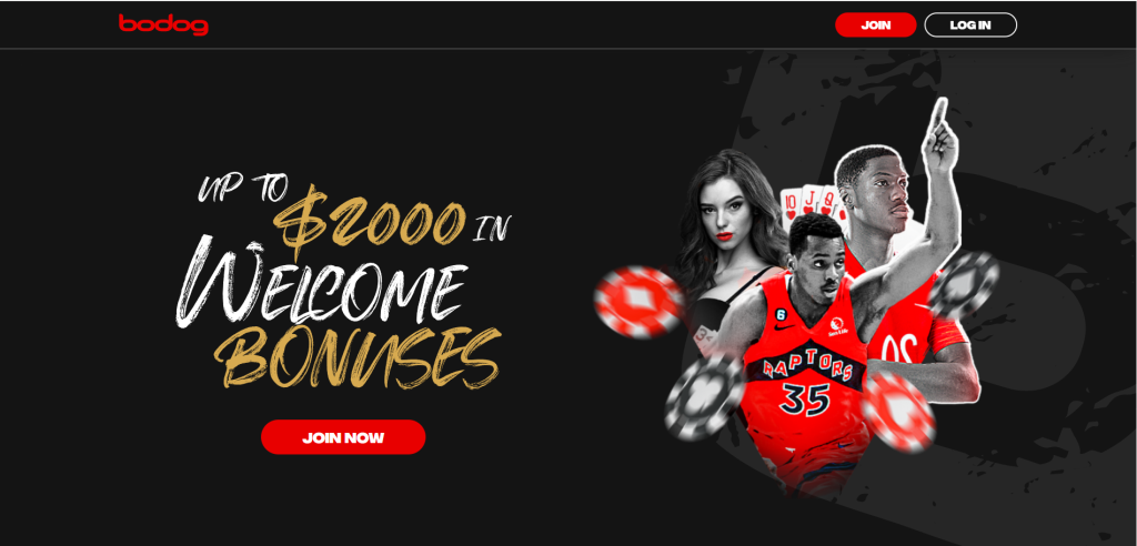 Bodog Casino 